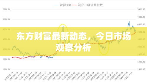 东方财富最新动态，今日市场观察分析