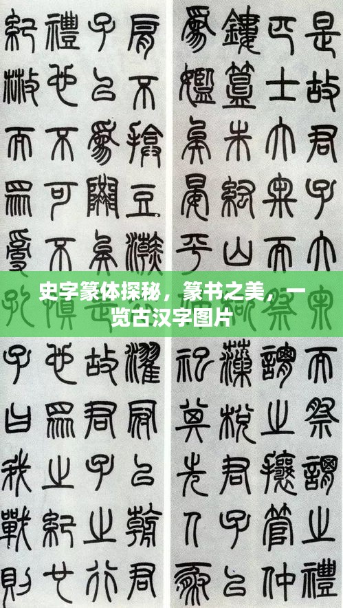 史字篆体探秘，篆书之美，一览古汉字图片