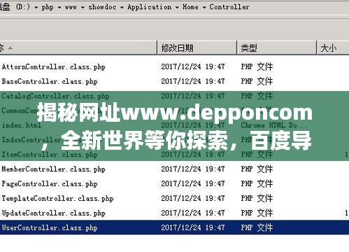 揭秘网址www.depponcom，全新世界等你探索，百度导航引领前沿