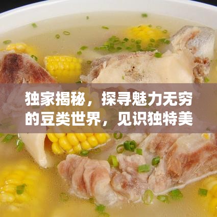 独家揭秘，探寻魅力无穷的豆类世界，见识独特美豆！