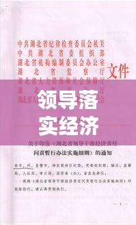 领导落实经济管理权的策略与关键实践之道