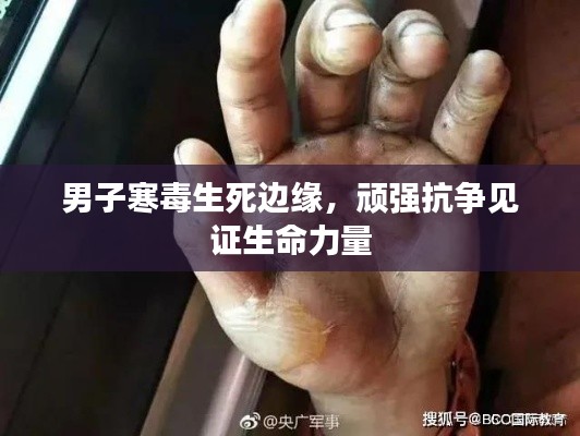 雍容尔雅