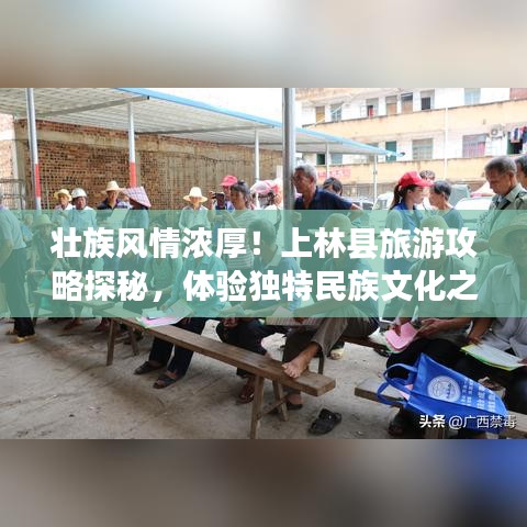 虎背熊腰