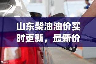 狗尾续貂