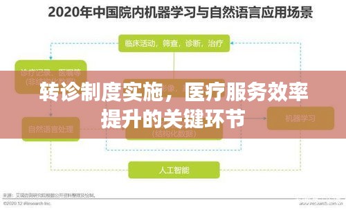 转诊制度实施，医疗服务效率提升的关键环节