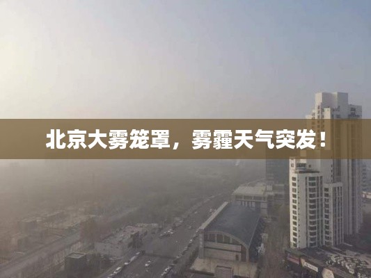 临危不惧