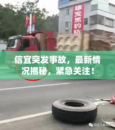 蜎飞蠢动