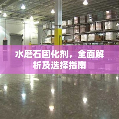 恋恋不舍