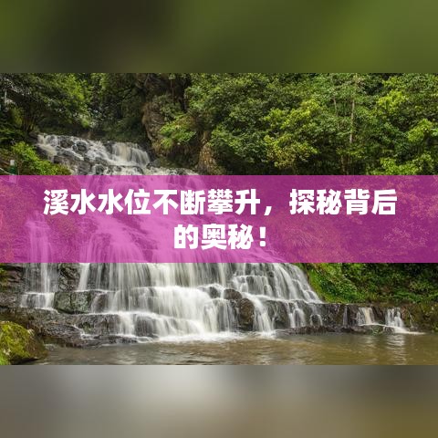 十全十美