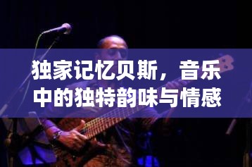 独家记忆贝斯，音乐中的独特韵味与情感共鸣