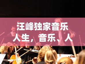 汪峰独家音乐人生，音乐、人生与时代的交响乐章（2013）