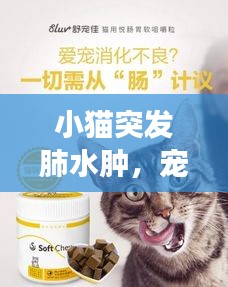 尽心竭力