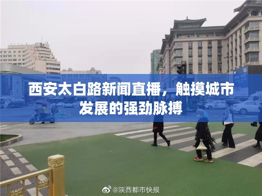 比张比李