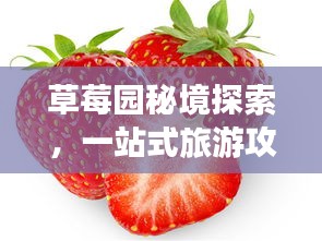 草莓园秘境探索，一站式旅游攻略