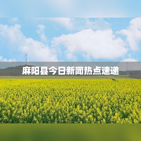 矢志不渝
