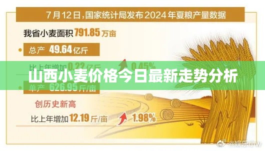 朴素无华