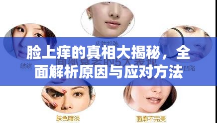 滔滔不绝