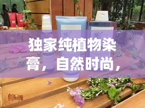 飞天遁地