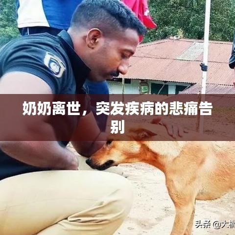 知识产权经营中心 第9页
