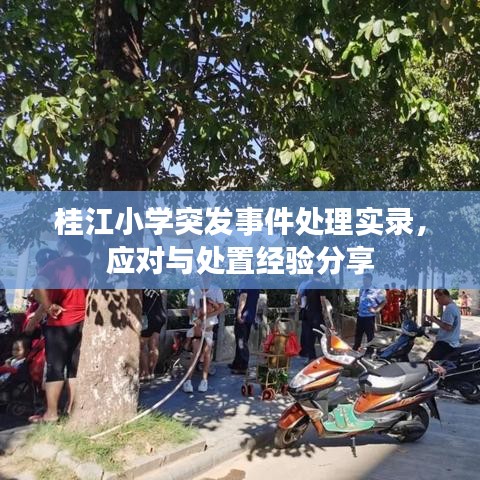 知识产权预算中心 第10页