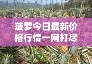 知识产权预算中心 第9页
