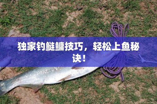 独家钓鲢鳙技巧，轻松上鱼秘诀！