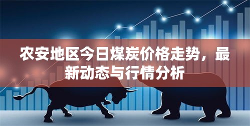 农安地区今日煤炭价格走势，最新动态与行情分析