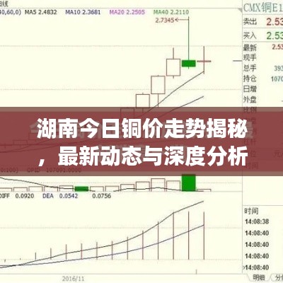 2025年5月6日 第2页