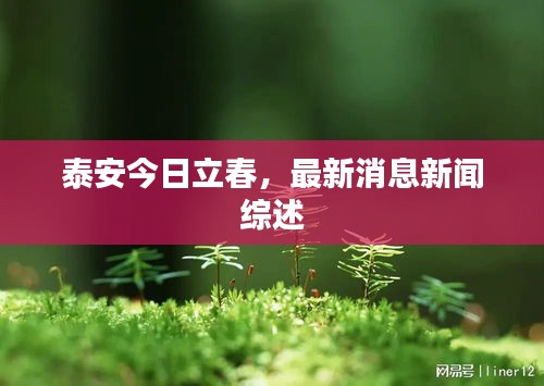 2025年5月8日