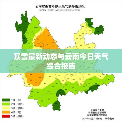 2025年5月9日 第2页