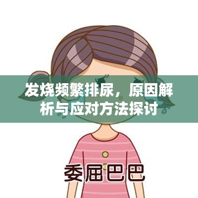 发烧频繁排尿，原因解析与应对方法探讨